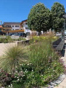a garden with grass and flowers on a sidewalk at Maisonette Wohnung am Tegernsee in Bad Wiessee