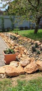 a rock garden with a potted plant in it at Igali Varázs Apartman 2 perc a fürdőtől in Igal