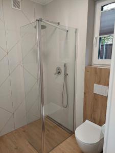 a shower in a bathroom with a toilet at Domki Alpati in Jastrzębia Góra +43 photos