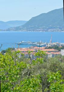 a view of a city and a body of water at Zotina Residence in Tivat