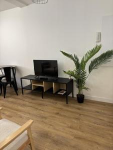 a living room with a tv and a potted plant at Cornas in Tournon-sur-Rhône