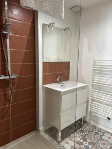 a bathroom with a white sink and a shower at Cornas in Tournon-sur-Rhône