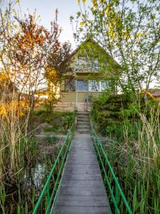 a wooden path leading to a house on a bridge at Dunai Menedék in Ráckeve