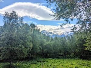 a field with trees and mountains in the background at Log Cabin with Mountain Views in Palmer +5 photos