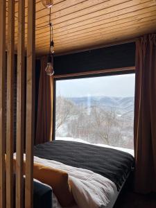 a bed in a room with a large window at Pitoresc Cabin in Tranisu