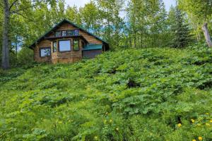 a cabin on the side of a grassy hill at Log Cabin with Mountain Views in Palmer
