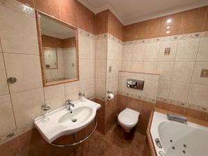 a bathroom with a sink and a toilet and a tub at Hotel Zlatý Kříž in Teplice +25 photos