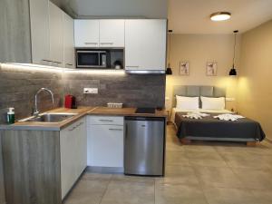a kitchen with a sink and a bed in a room at SeaEsta Vasiliki 1 in Póndi