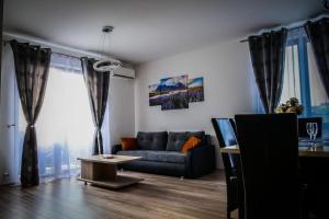 a living room with a couch and a table at Apartament Panorama Baile Felix in Baile Felix