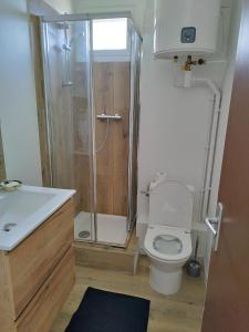 a bathroom with a shower and a toilet and a sink at Courseulles Bellevue in Courseulles-sur-Mer