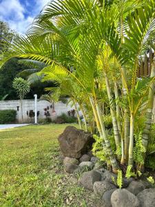 a group of palm trees in a yard with rocks at Secret Pearls of Matira Beach, Bora Bora in Bora Bora