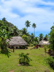a resort with grass huts and palm trees at Fare Hau Lodge in Tahaa