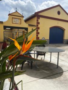 a table and a flower in front of a building at Chalet Suizo in Arcos de la Frontera +1 photo