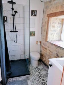 a bathroom with a shower with a toilet and a sink at Maisonnette Beauceronne in Eole-en-Beauce