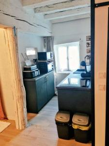 a kitchen with a counter and two trash cans at Maisonnette Beauceronne in Eole-en-Beauce +10 photos