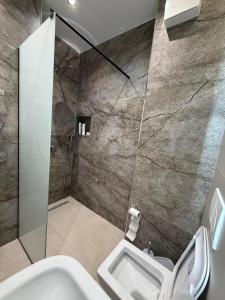a bathroom with a shower and a toilet and a sink at Sako Apartaments 2 in Golem