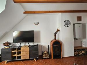 a living room with a tv and a fireplace at Apartma Brin Rogla in Zreče