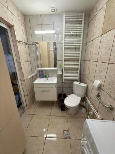 a small bathroom with a toilet and a sink at Kaira place in Lupeni