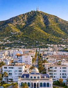 a view of a city with a mountain in the background at Jed appartement in Hammam-Lif