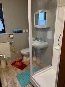 a bathroom with a shower and a toilet and a sink at Appartment Sylvia von Skwarczinsky in Tabarz
