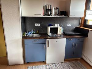 a small kitchen with a sink and a microwave at Appartment Sylvia von Skwarczinsky in Tabarz +4 photos