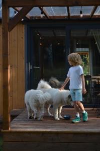 a young boy standing on a porch with two dogs at Ostoja Wycinki domki letniskowe in Jaszczerz