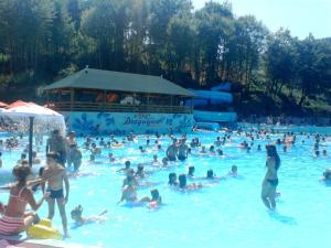 a large group of people in a swimming pool at Velez IVANOVI DVORI in Jošanička Banja