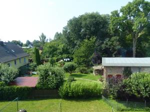 a view of the yard of a house at Ferienwohnung in Ostseenähe 1 in Velgast +1 photo