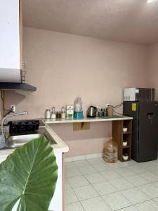 a kitchen with a sink and a counter top at Hostal Punto Americana in Guadalajara