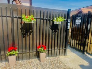 two flower pots with red flowers on a fence at S-HOUSE Avrig , Apartament cu Aer Condiționat, 2 Dormitoare, Bucatarie, Terasa , Curte Privată Parcare Gratuită in Avrig