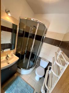 a bathroom with a shower and a toilet and a sink at SAViTA in Karwia