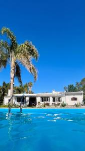 a palm tree and a house with a swimming pool at Doña Sara in Gualeguay