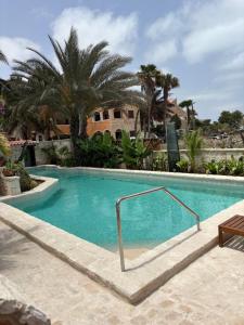 a swimming pool with blue water and palm trees at Guest House Orquidea in Sal Rei