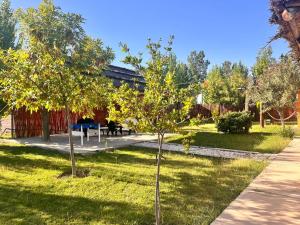 a garden with two trees and a picnic table at Finca el gallego in Junín