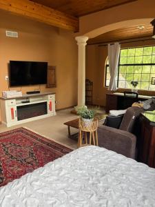 a living room with a bed and a tv at Grand Studio with Resort Amenities in Alpine