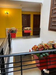 two potted plants on the balcony of a building at Hotel El Maghreb in Constantine