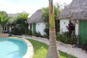a palm tree next to a house with a swimming pool at Hotel Kocai Izamal in Izamal