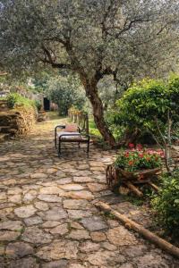 a bench sitting on a stone patio under a tree at Cilento House with Garden & Sunset View in Sessa Cilento