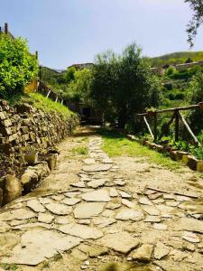a stone path with trees and a stone wall at Cilento House with Garden & Sunset View in Sessa Cilento +7 photos