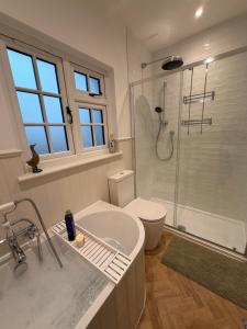 a bathroom with a shower and a sink and a toilet at Hollylea Cottage - New Forest in Godshill +28 photos