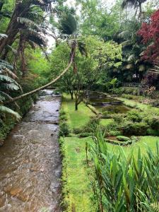 a stream in the middle of a garden at Charming Blue House in Furnas