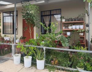 a room filled with lots of plants in pots at Casa Jardín Relax in Moyobamba