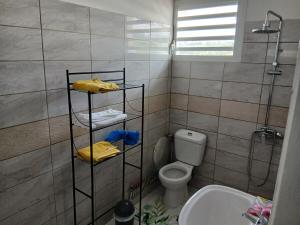 a bathroom with a shower and a toilet and a sink at Maison Hibiscus in Petit-Bourg +6 photos
