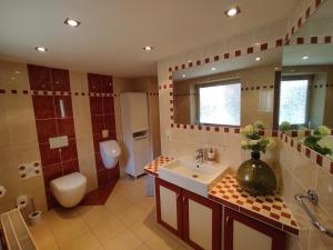 a bathroom with a sink and a toilet and a mirror at Gästezimmer alte Schneiderei in Duderstadt +42 photos