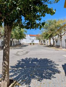 a tree casts a shadow on a street at Casa do Picadeiro in Elvas