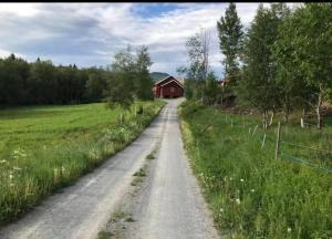 a dirt road in a field with a red barn at Vacation Home in Oslo in Oslo