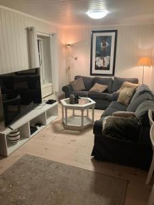 a living room with a couch and a tv at Vacation Home in Oslo in Oslo