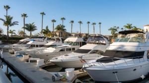 a bunch of boats docked in a marina with palm trees at Hidden Coastal Gem Between Malibu & SB in Oxnard