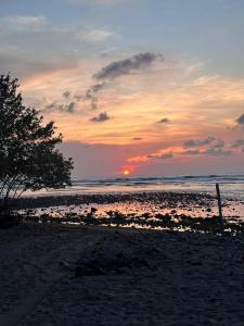 a sunset on a beach with a tree and the ocean at Bungalos Blanca in Temalhuacán
