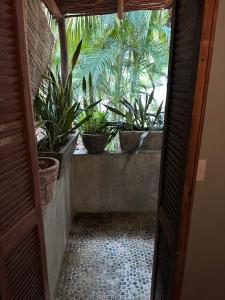 an open door with potted plants on a balcony at Bungalos Blanca in Temalhuacán +1 photo